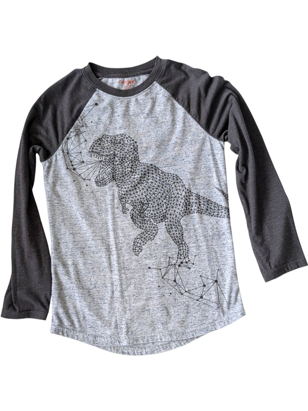Cat & Jack Grey Body with Charcoal Raglan Long-Sleeve Dinosaur Tee Large